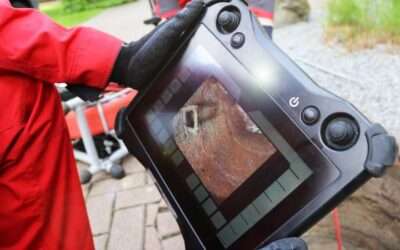 The Home Buyers Guide to Drainage Surveys